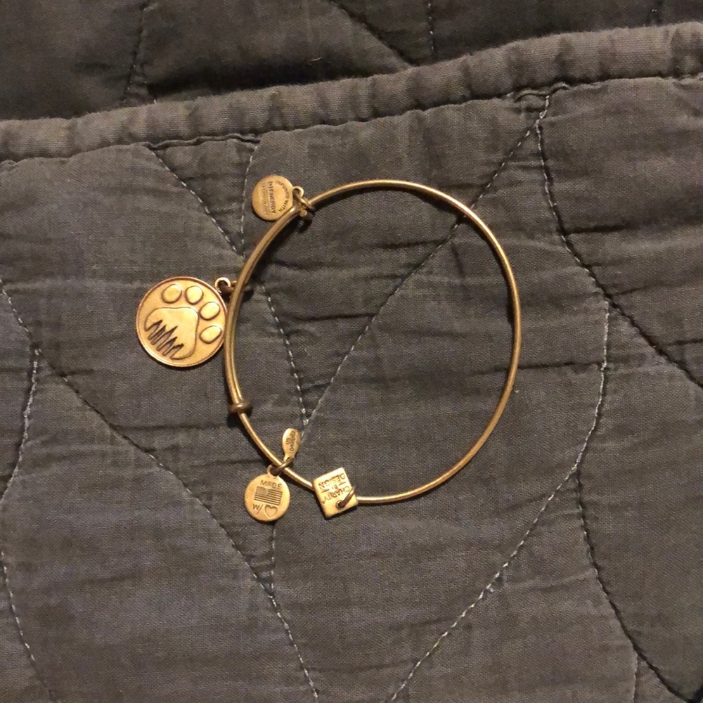 Alex and Ani paw print bracelet